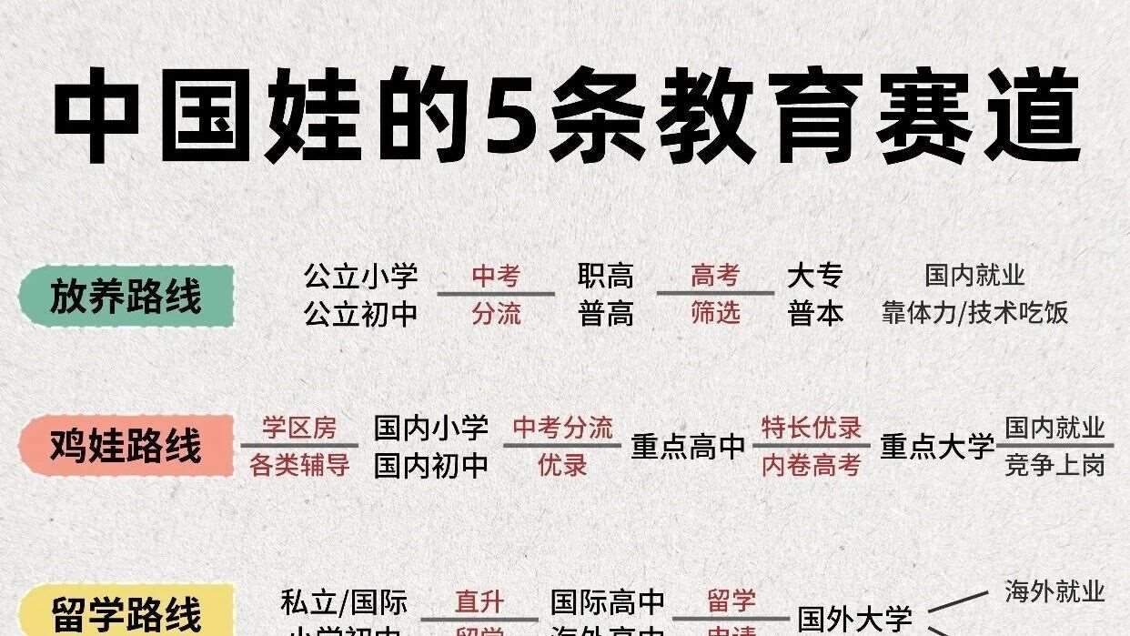 中国娃的5条教育赛道🔥父母必看避坑指南📚